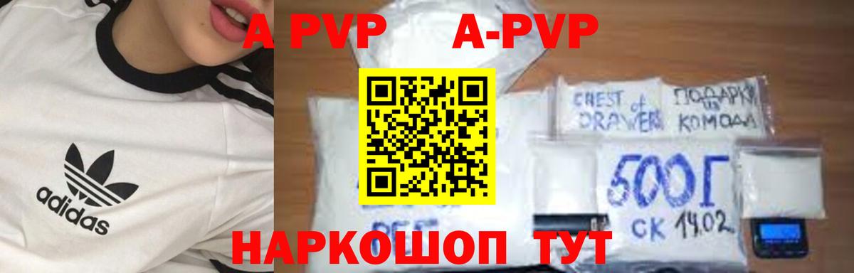 Alfa_PVP СК Великие Луки