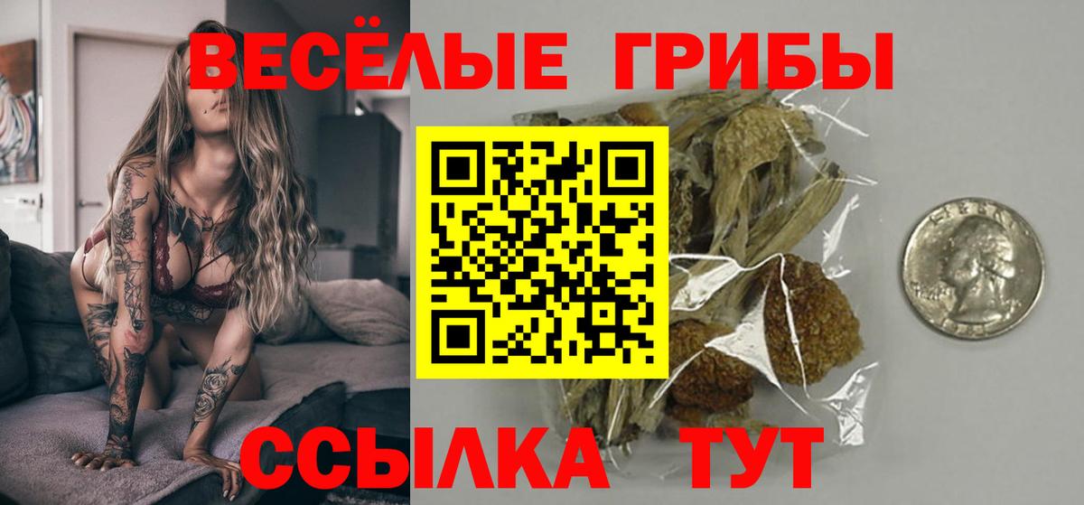 Псилоцибиновые грибы мухоморы Великие Луки